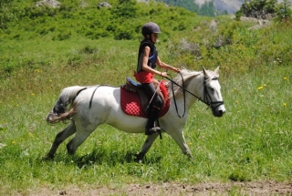  curso de equitación para niños en 05
